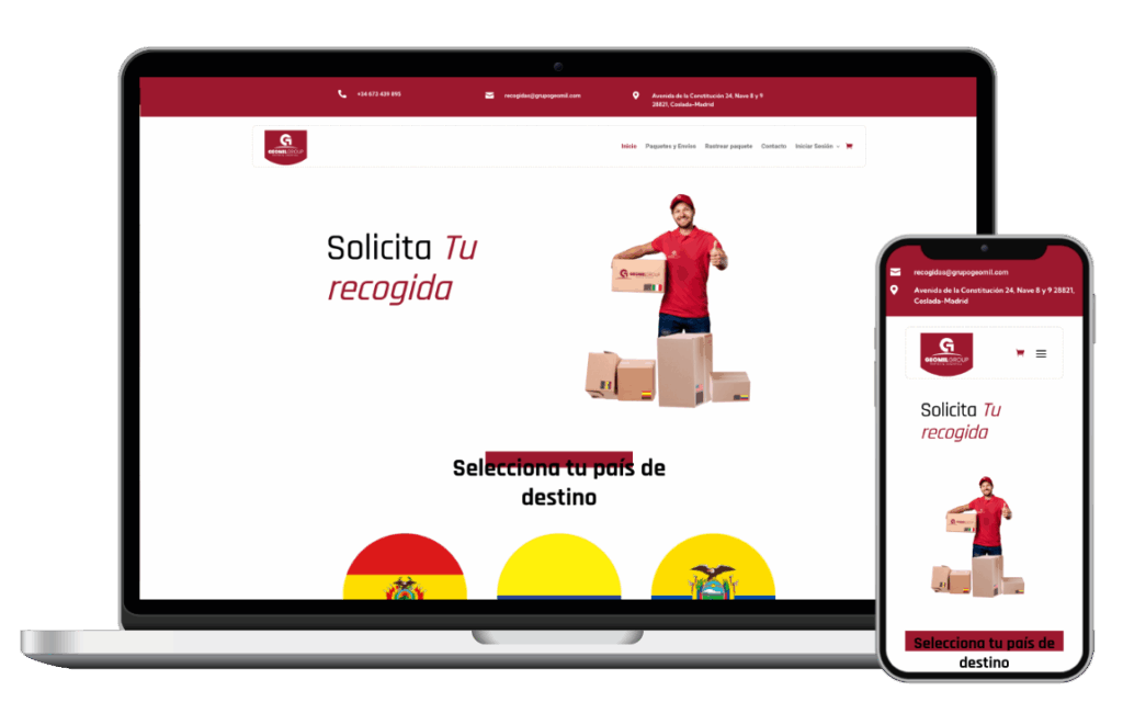 Desarrollo web mockup geomil